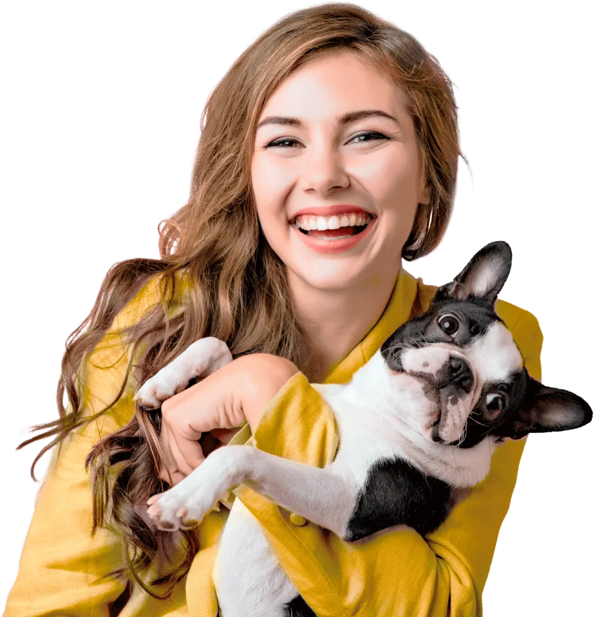 Mi & Au! Clínica Veterinária